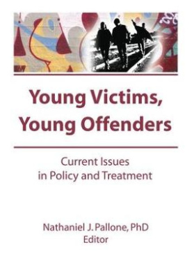 Young Victims, Young Offenders: Current Issues in Policy and Treatment cover
