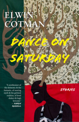 Dance on Saturday: Stories cover