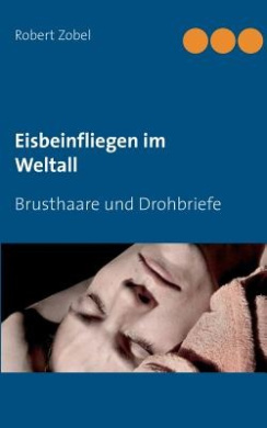 Eisbeinfliegen Im Weltall cover