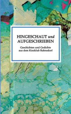 Hingeschaut und aufgeschrieben cover