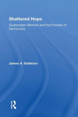 Shattered Hope: Guatemalan Workers And The Promise Of Democracy cover