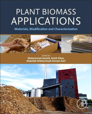 Plant Biomass Applications: Materials, Modification and Characterization cover
