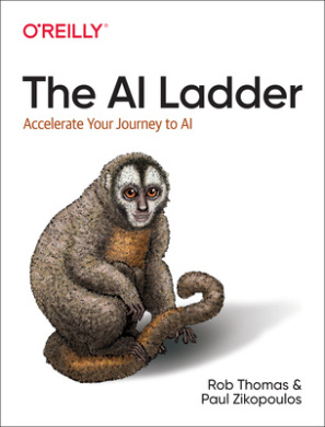 The AI Ladder: Accelerate Your Journey to AI cover