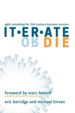 Iterate or Die: Agile Consulting for 21st Century Business Success cover